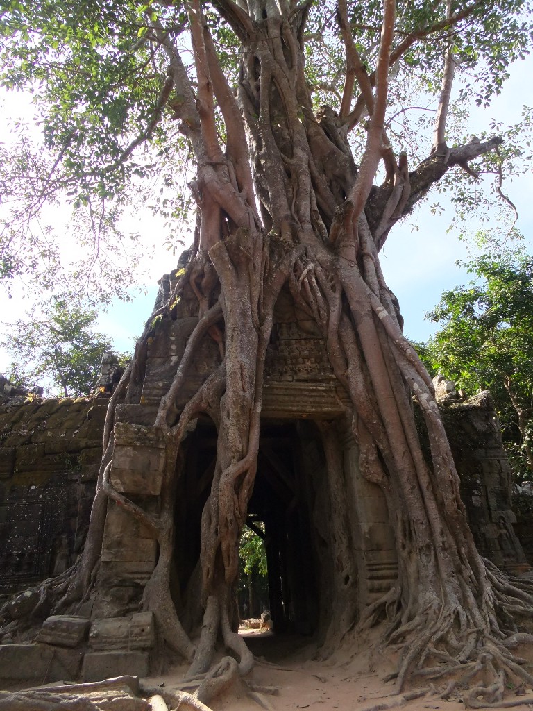 templen i Angkor Wat