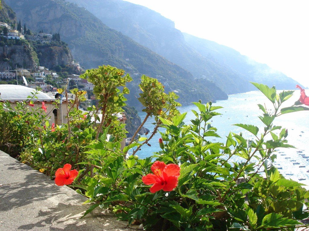 Utsikt över havet från Positano på Amalfikusten i Italien. Blommor i förgrunden. - favoritländer