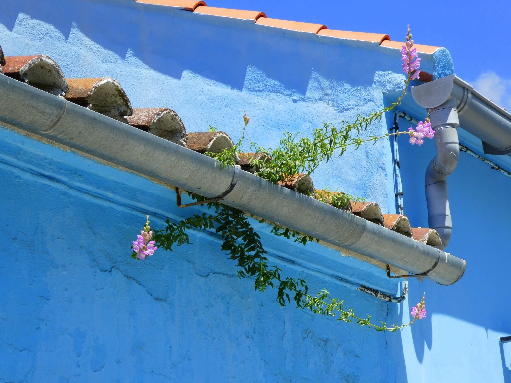 Den blå byn Juzcar - smurfbyn