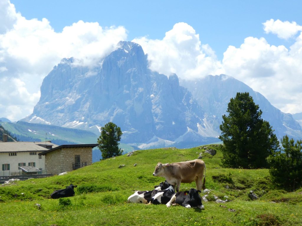 Vandring i Dolomiterna: Rifugio Troier, Forcella Pana, Rifugio Firenze