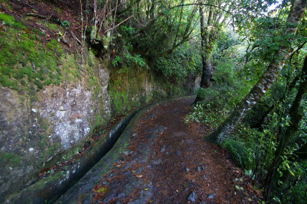 Jeeptur på östra Madeira