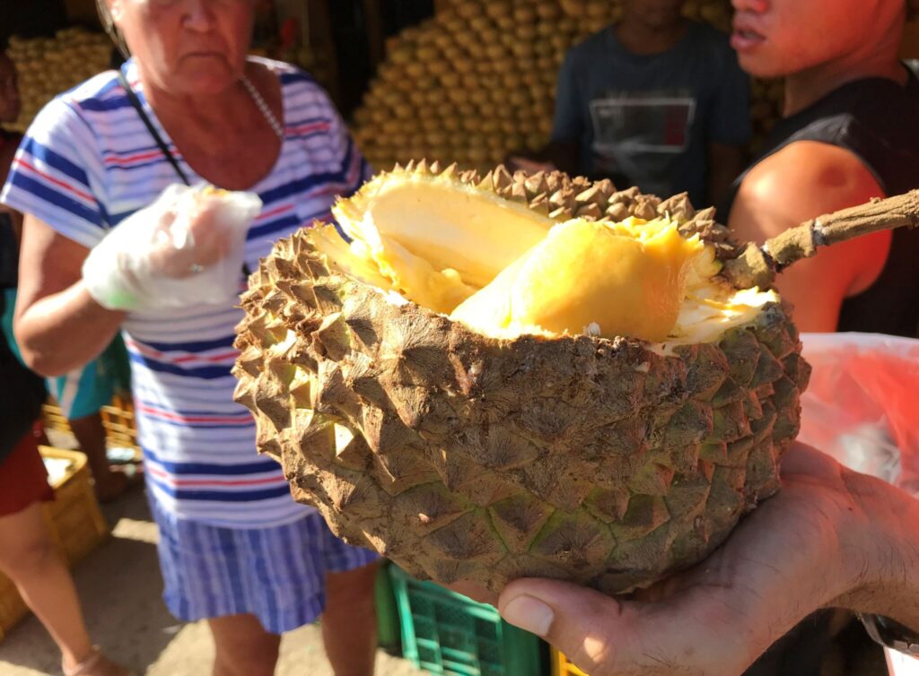 den stinkande frukten Durian