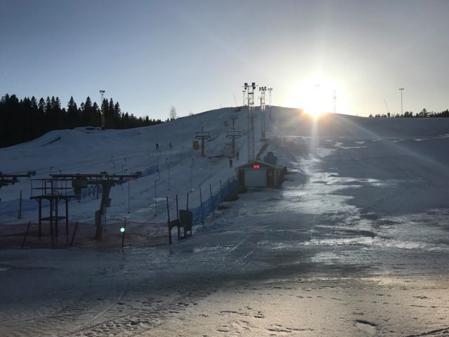 Att se och göra i Umeå