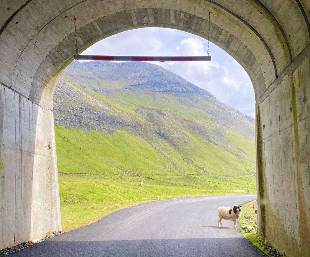 Roadtrip på Färöarna
