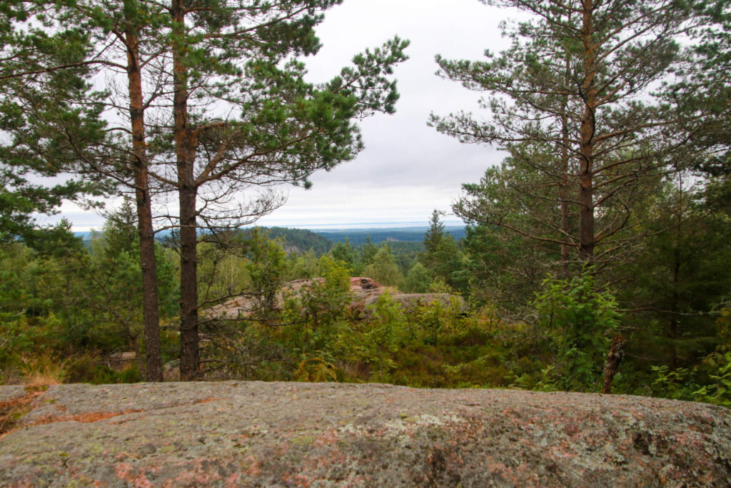 Baljåsen