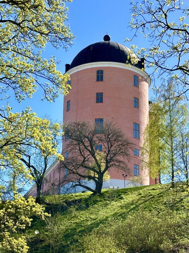 göra i Uppsala