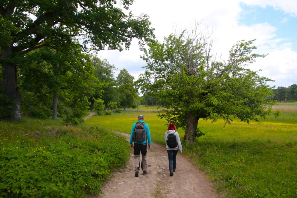 Ängsö nationalpark