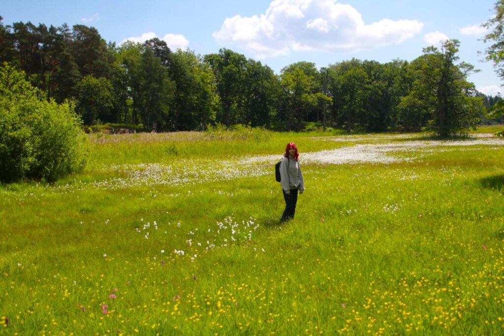 Ängsö nationalpark