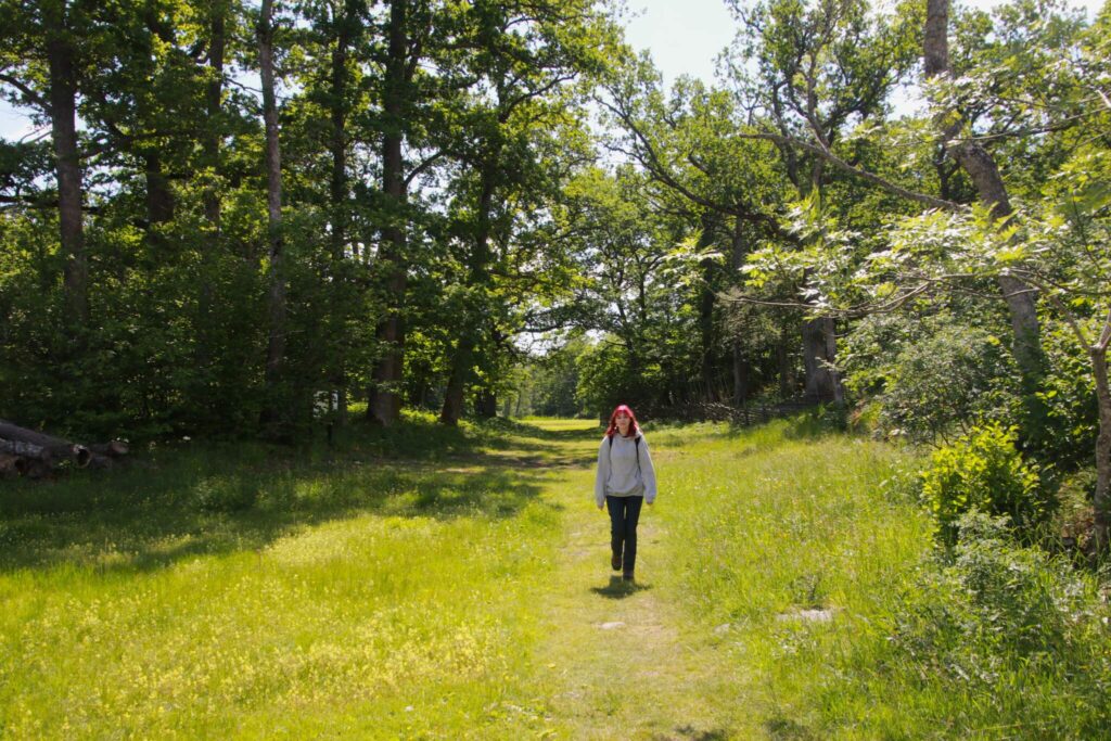 Ängsö nationalpark