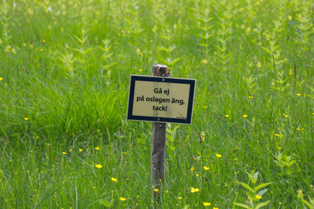 Ängsö nationalpark