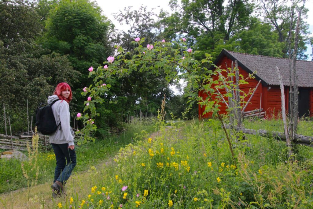 Ängsö nationalpark