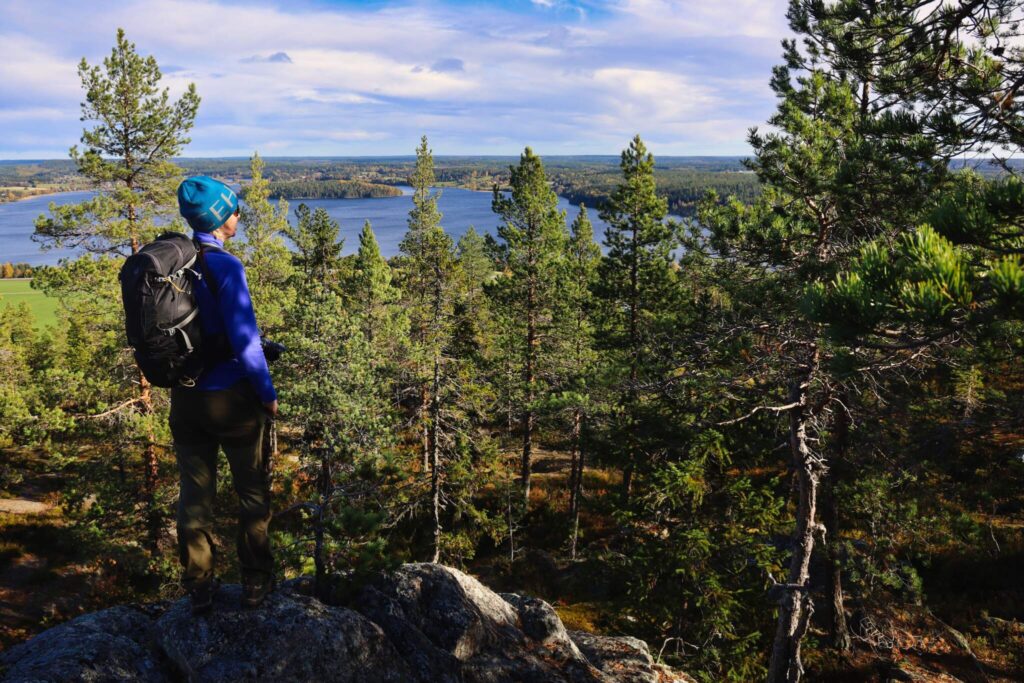 10 toppar i Tavelsjö