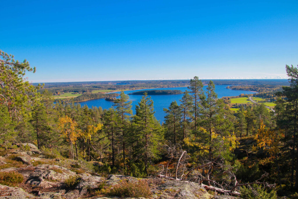 10 toppar i Tavelsjö