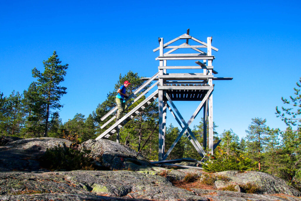 10 toppar i Tavelsjö