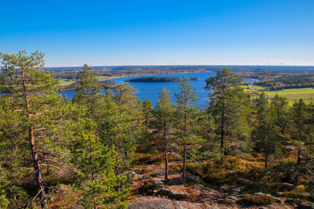 10 toppar i Tavelsjö