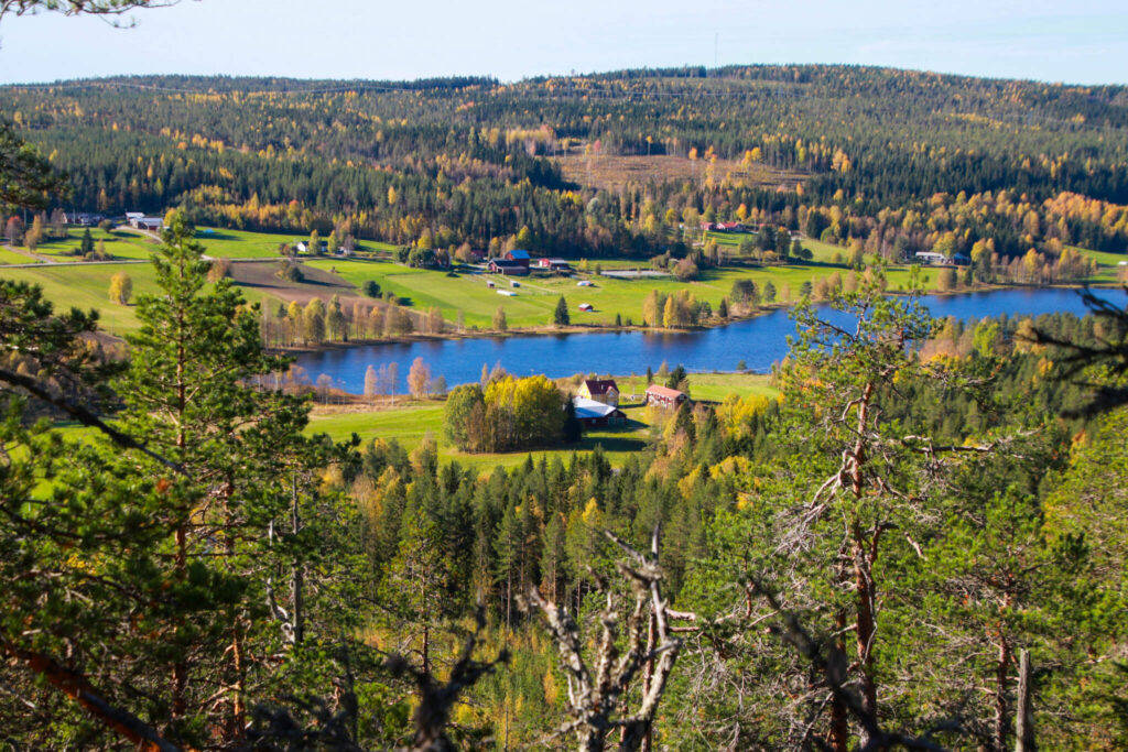 10 toppar i Tavelsjö