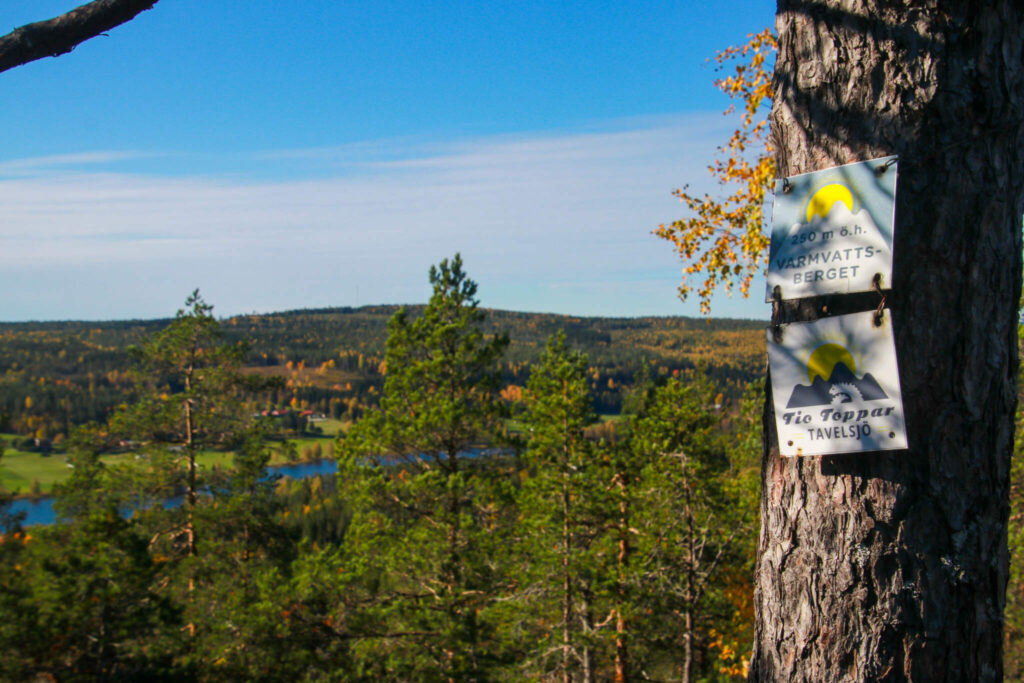 10 toppar i Tavelsjö