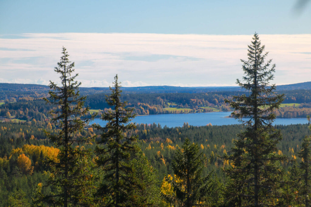 10 toppar i Tavelsjö