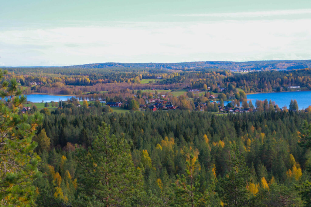 10 toppar i Tavelsjö