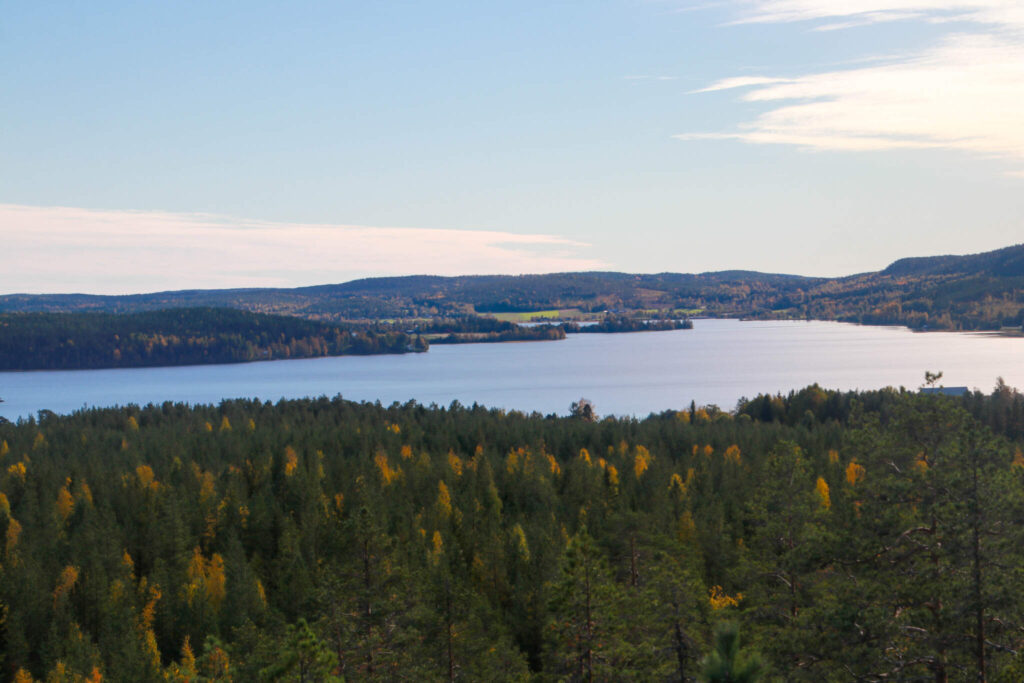 10 toppar i Tavelsjö