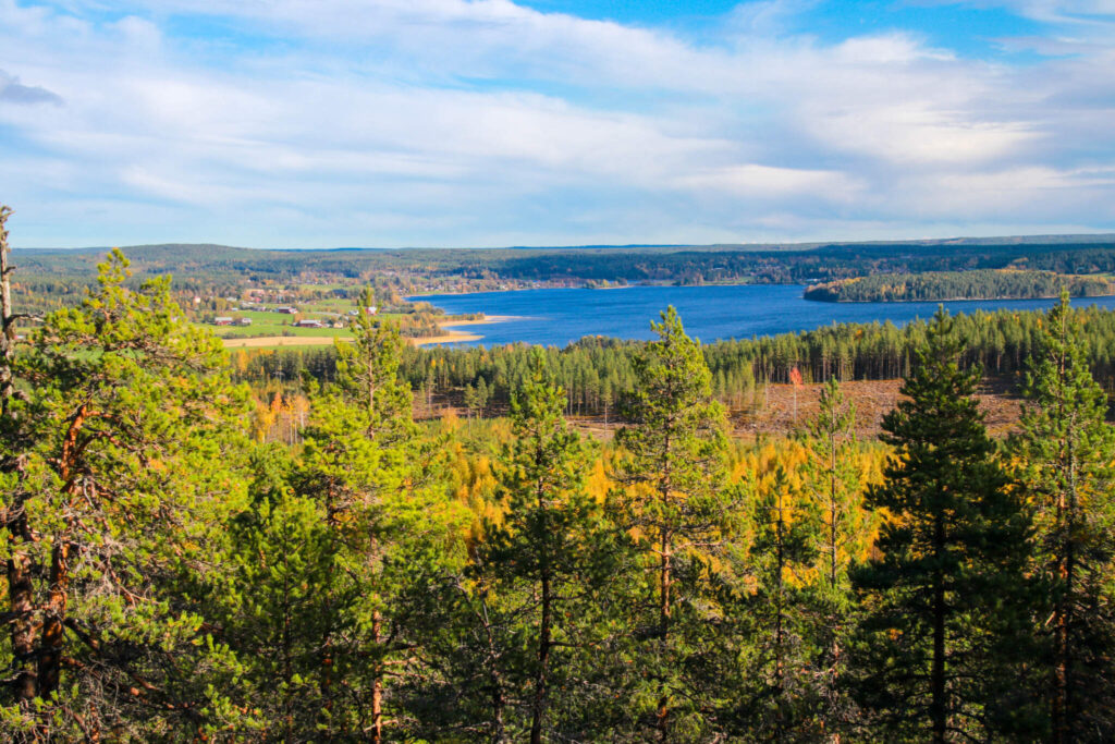 10 toppar i Tavelsjö