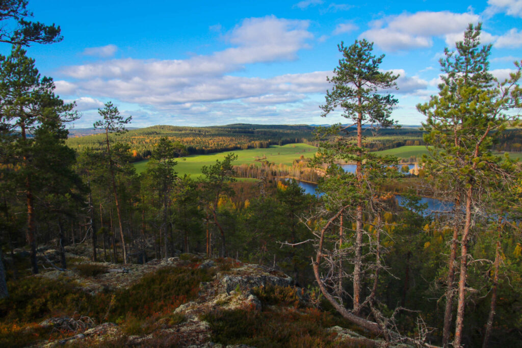 10 toppar i Tavelsjö