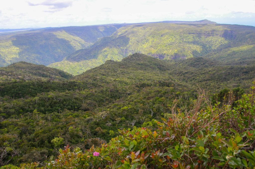 Black River Peak