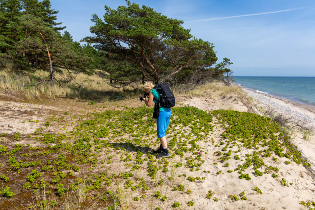 Vandring på Gotska Sandön