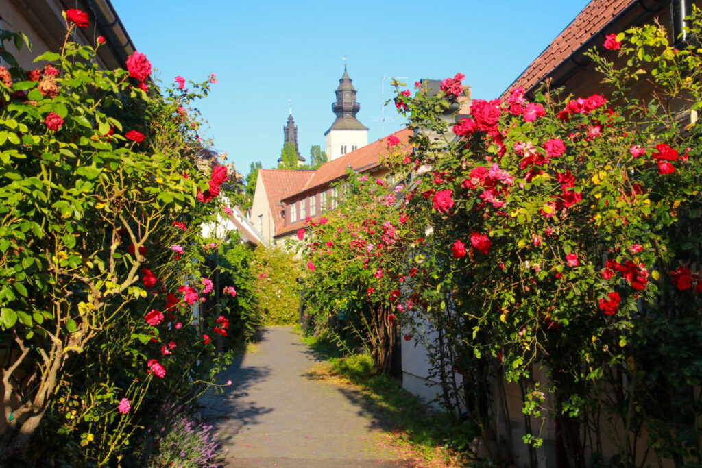göra i Visby