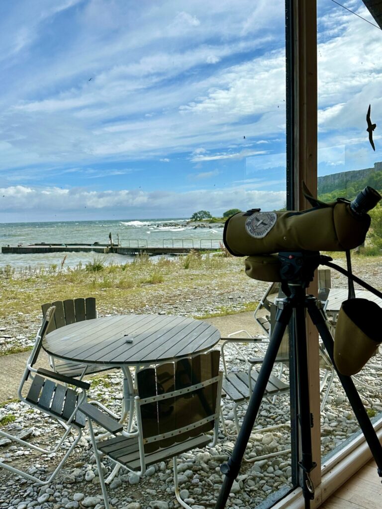 Stora Karlsö