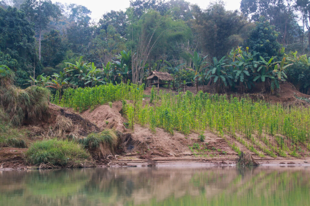 Thin Pha Trail i Laos