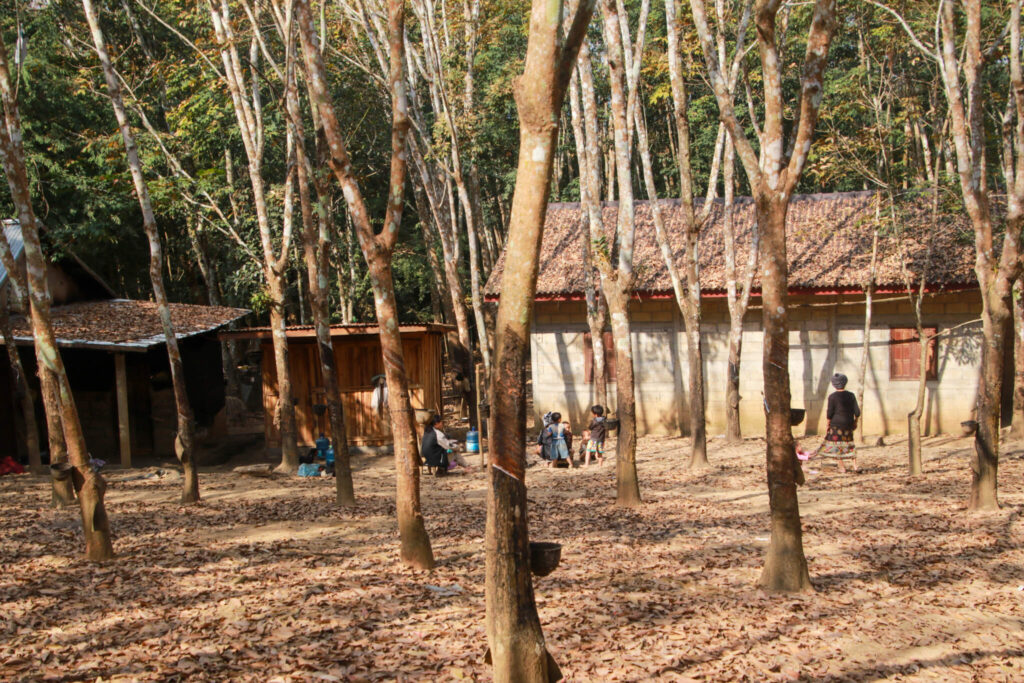 Thin Pha Trail i Laos