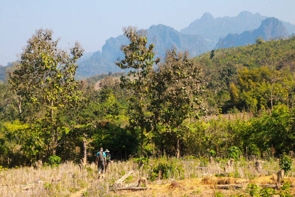 Thin Pha Trail i Laos