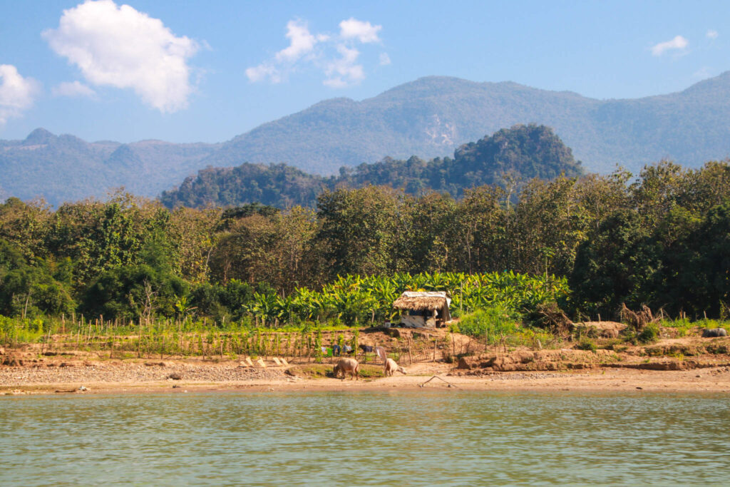 Thin Pha Trail i Laos