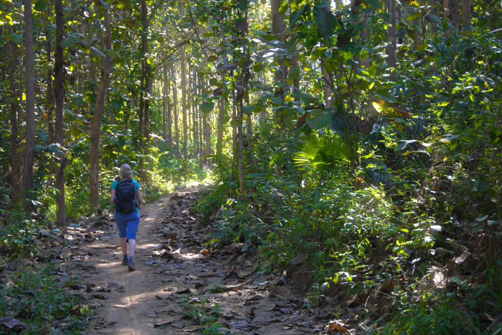 Thin Pha Trail i Laos