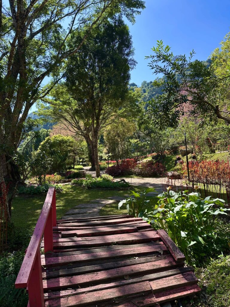 Thailands högsta berg