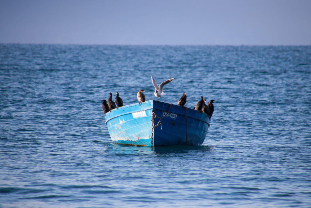 innan du reser till Nordmakedonien